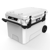 COD55 Car Fridge Freezer