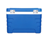 CS65 Blow Molding Cooler Box